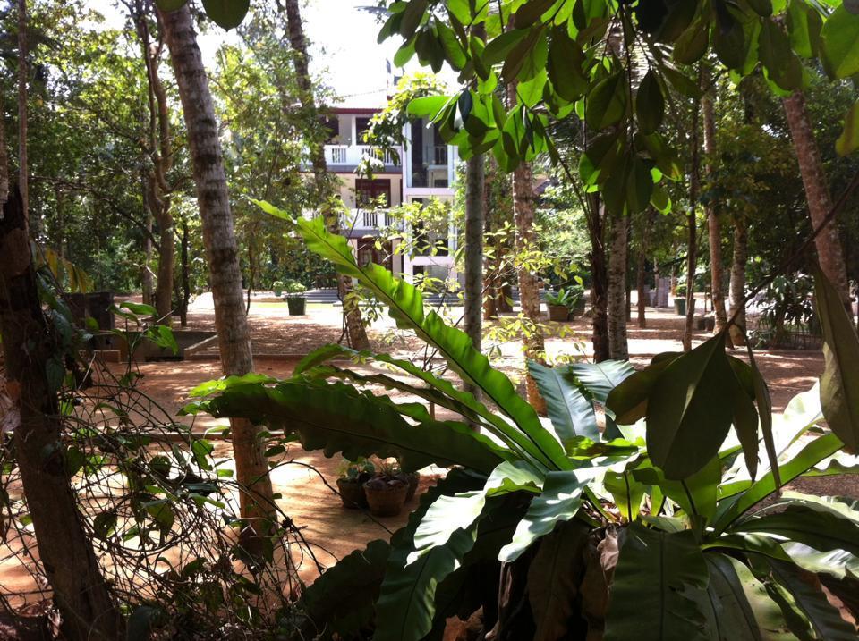 Gem Field Rest Bed & Breakfast Ratnapura Exterior photo